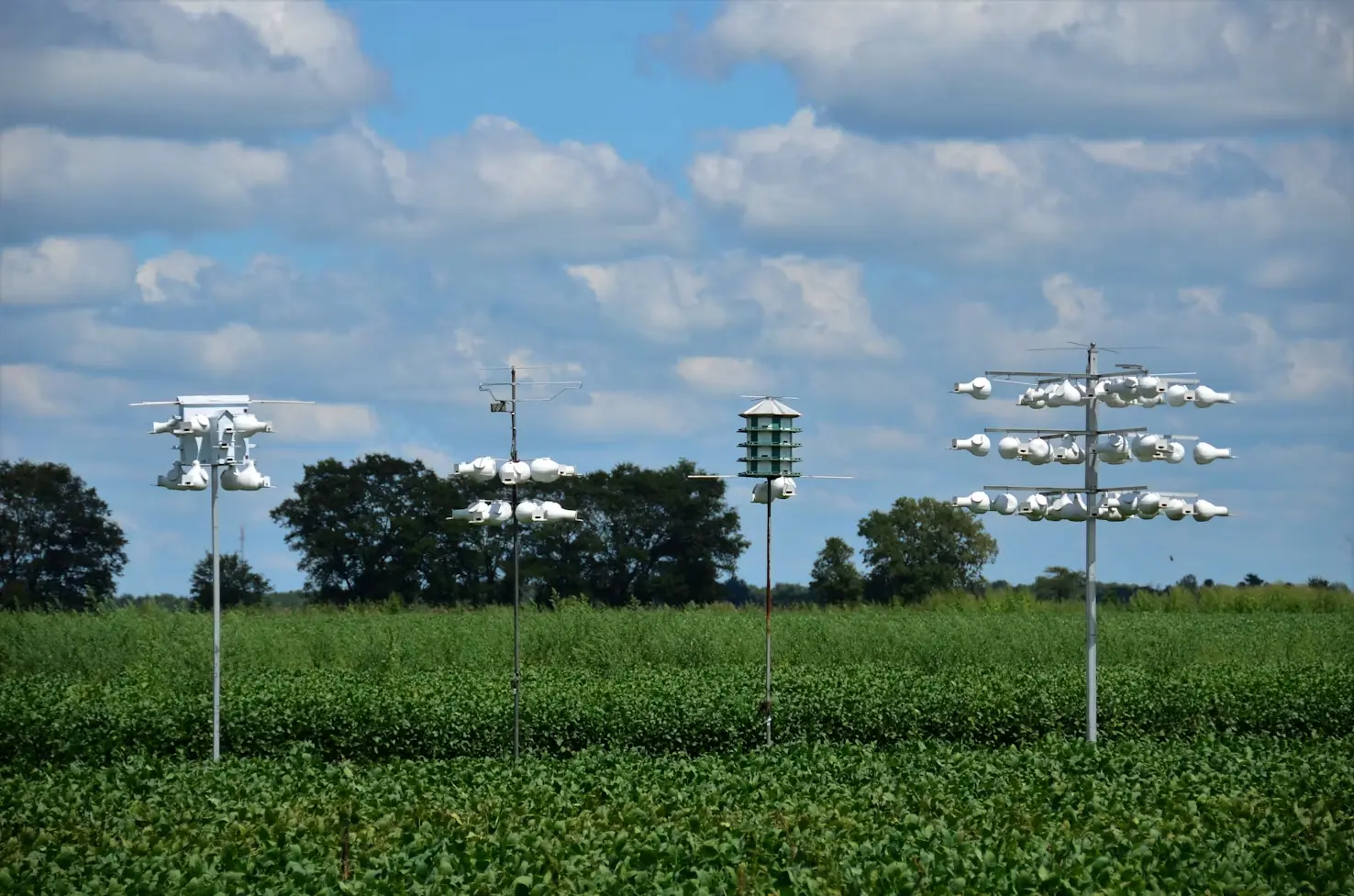 How to Choose the Right Ultrasonic Anemometer for Wind Farms